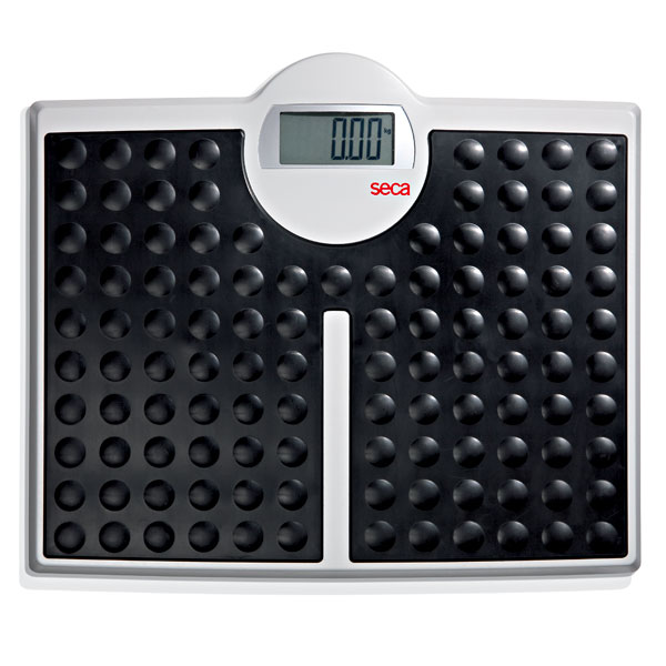 Seca 813 High Capacity Digital Floor / Flat Scale - Click Image to Close