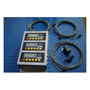Weight Systems Inc. 210 Indicator - Click Image to Close